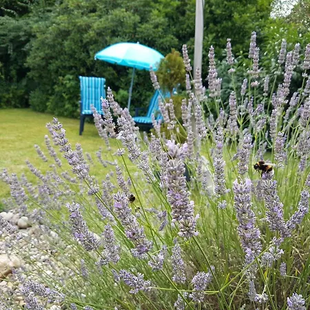 Liegeplatz No 44 - Zwischen Kreidesee & Ostedeich *