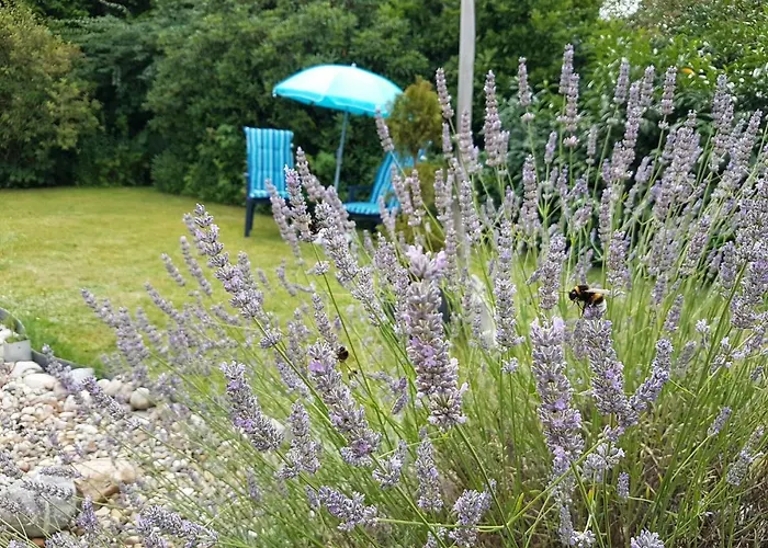 Liegeplatz No 44 - Zwischen Kreidesee & Ostedeich *